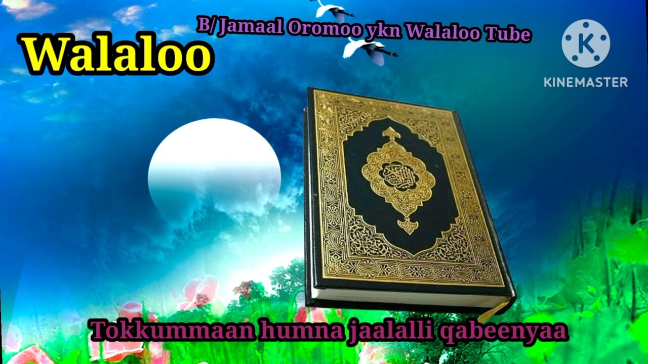 Walaloo barnootaa bareedduu dhageeyfadhaa #raayyaaabbaamaccaa #walaloo