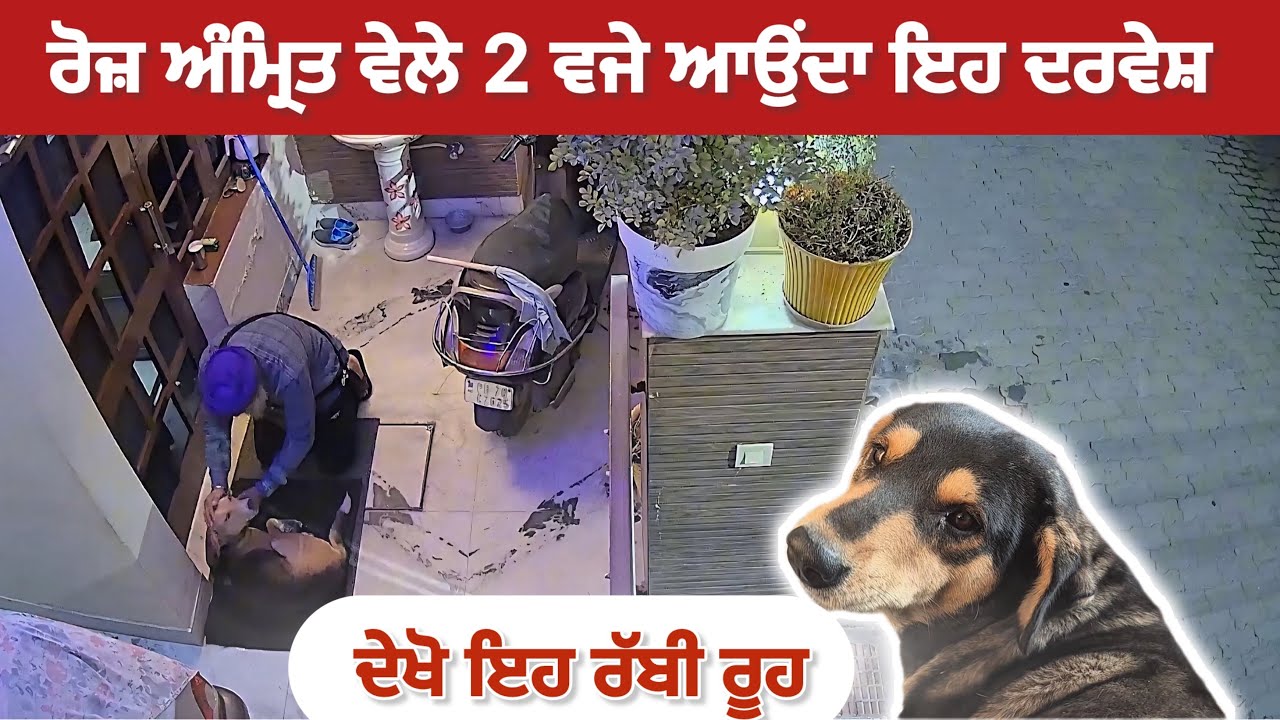 ਦੇਖ ਕੇ ਤੁਸੀਂ ਵੀ ਹੈਰਾਨ ਰਹਿ ਜਾਵੋਗੇ | ਨਿਤਨੇਮ ਤੇ ਕੀਰਤਨ ਦੀ ਸਮਾਪਤੀ ਤੇ ਹੀ ਵਾਪਿਸ ਜਾਂਦਾ 🙏