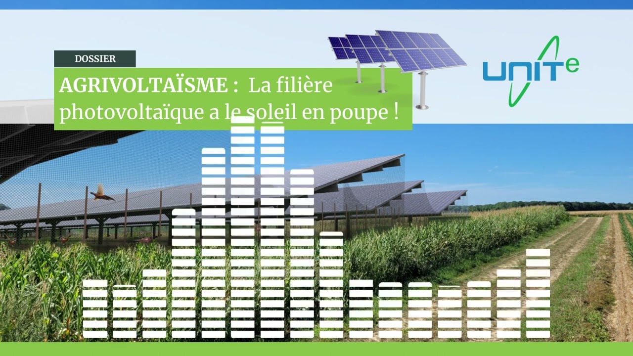 Agrivoltaïsme : tout savoir sur la ferme agri-voltaïque en 2023 [Podcast]