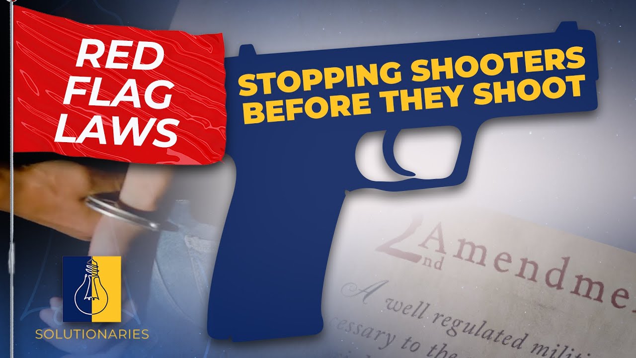 The controversial law taking GUNS away (Solutionaries)