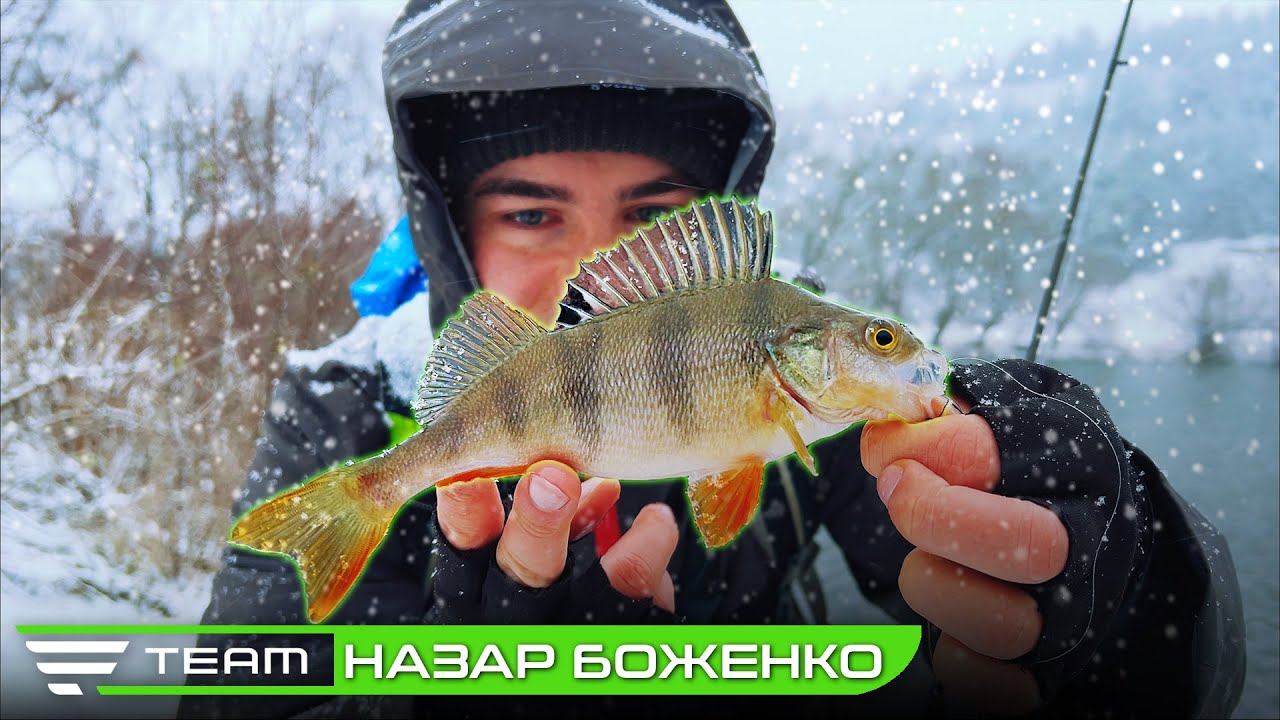 ТОП 3 ПРОВОДКИ НА ВІДВІДНИЙ ПОВІДЕЦЬ. Зимова ловля окуня