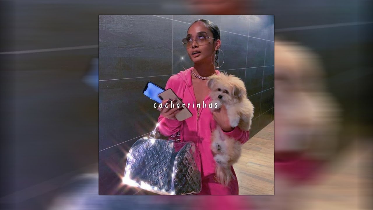 cachorrinhas - luisa sonza [speed up]