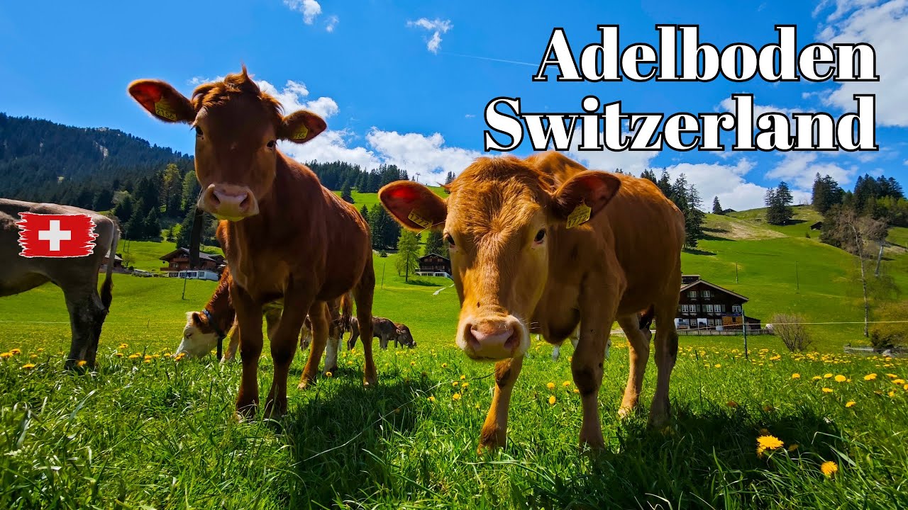 🇨🇭 Adelboden, Switzerland  -  Beautiful Swiss village - Walking Tour Through the Heart of the Alps