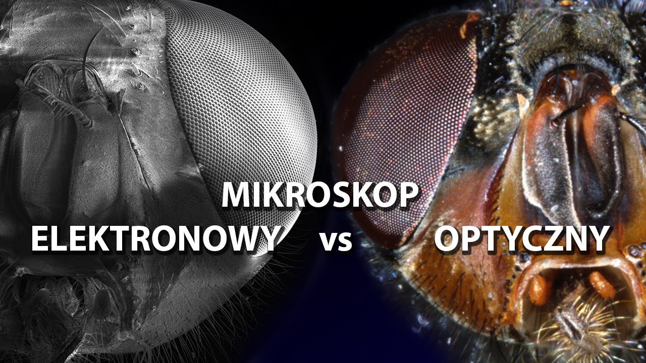 ELEKTRONOWY vs OPTYCZNY