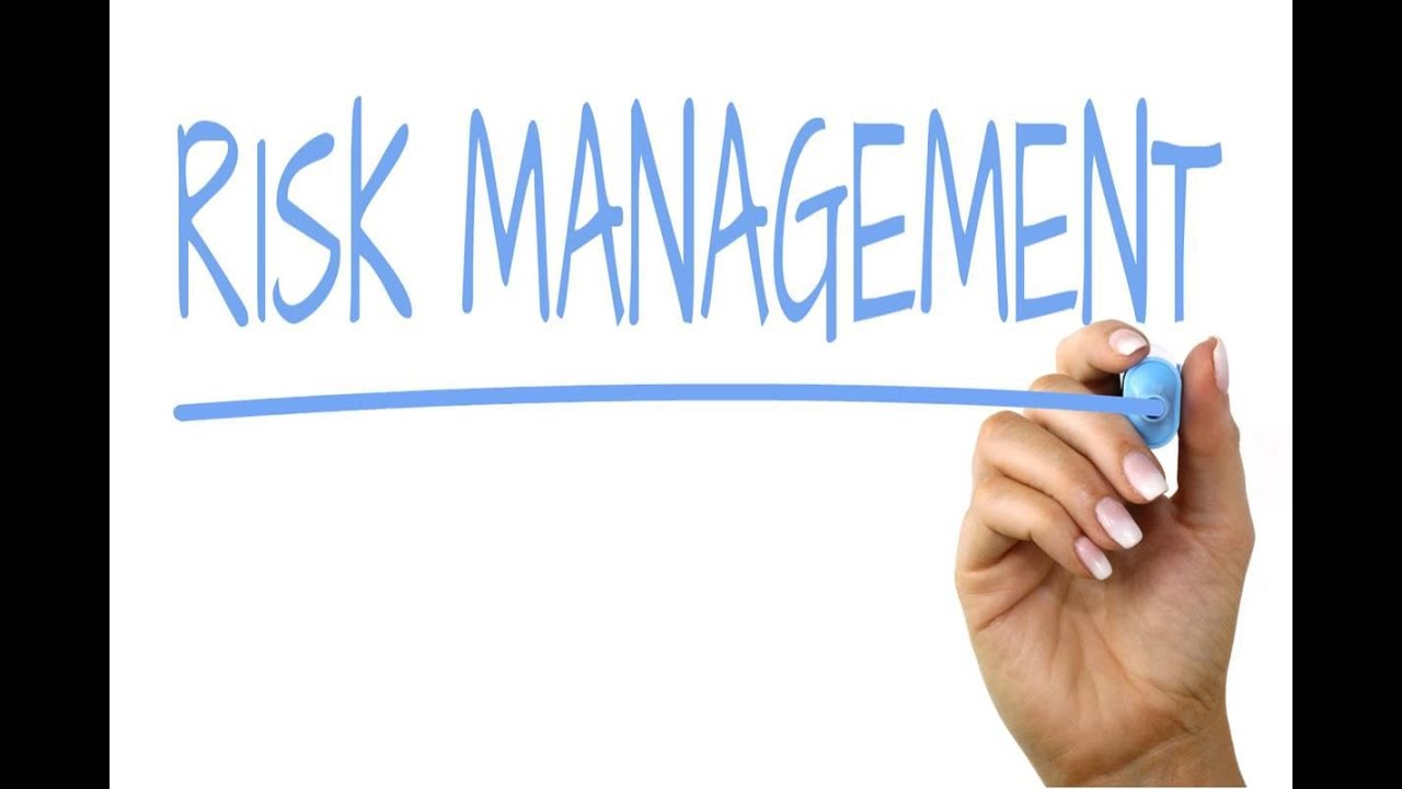 What is Risk Management - Risk Week 1: S1
