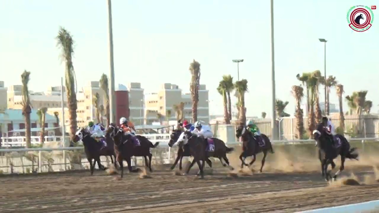 الاجتماع (17) الشوط (4) الجواد / شايخ / اسطبل / الفيصل