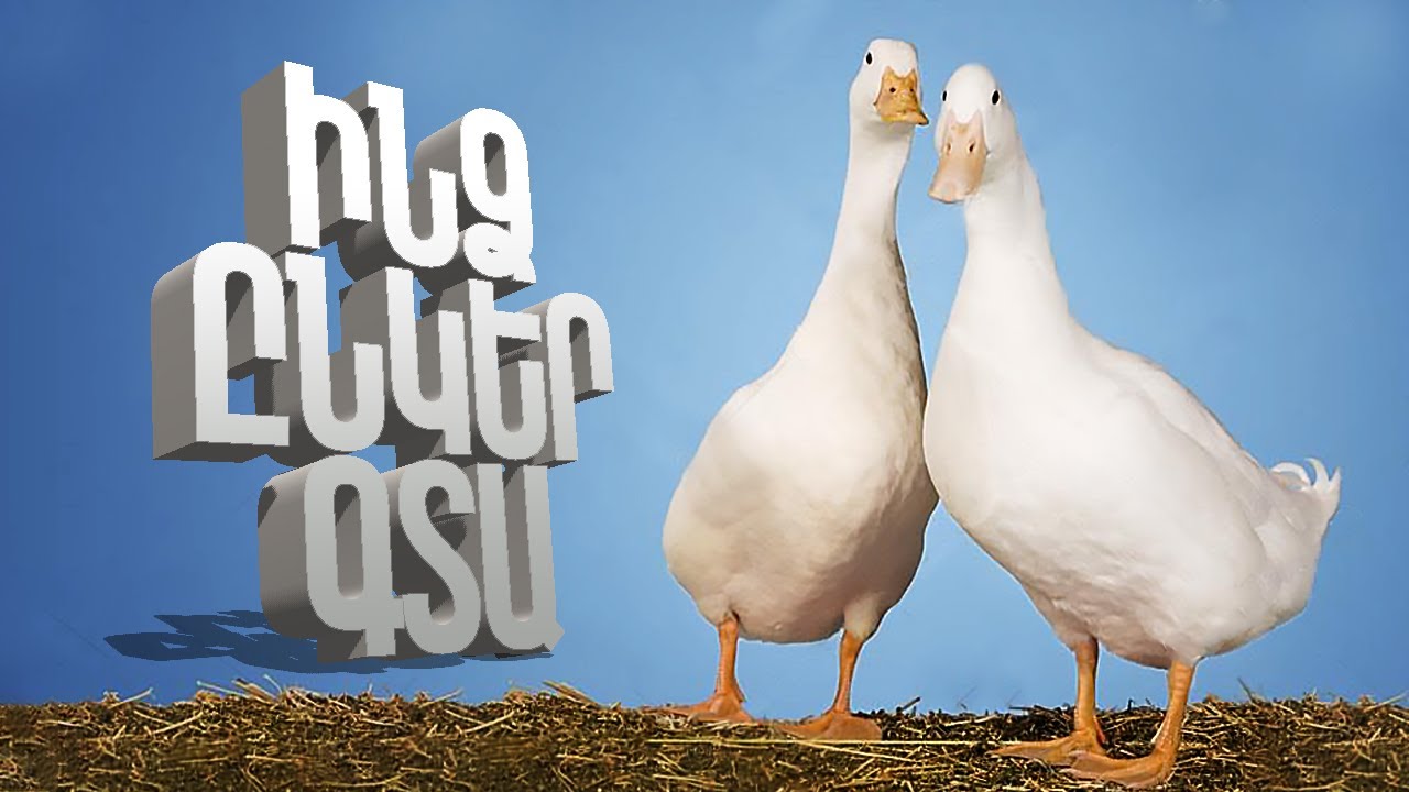 ԵԹԵ 2022 ԹԻՎ, ՈւՐԵՄՆ 2 ԱՆՇՆՈՐՀՔ ԲԱԴ 🐓 @D4nchochannel -Ի ՀԵՏ ANSHNORQ BAD