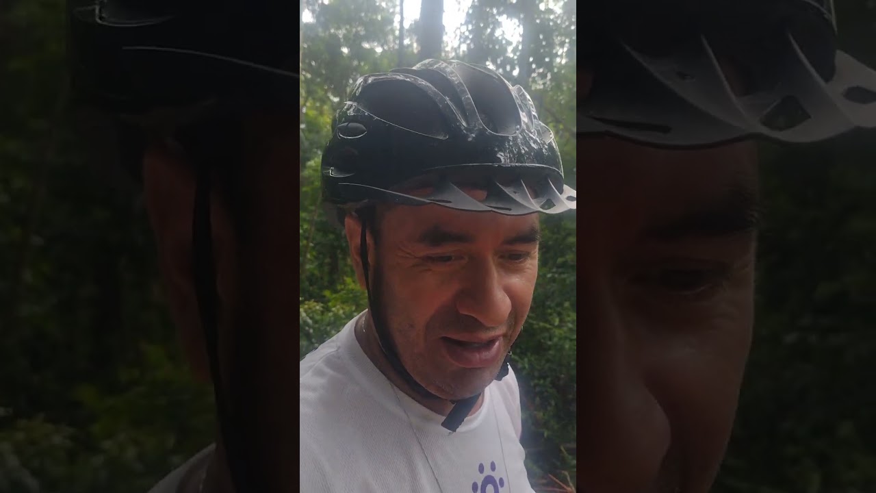 15 de fevereiro de 2026