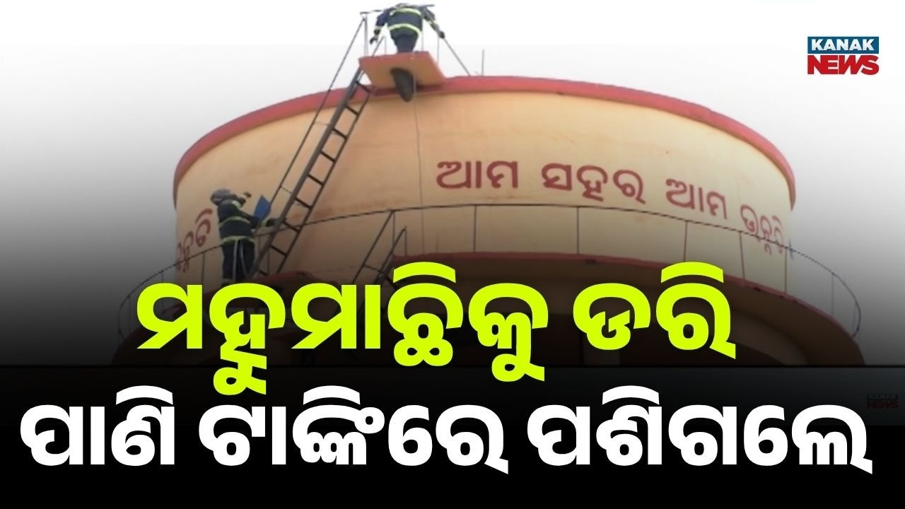 Reporter Live: Deadly Bee Attack in Mayurbhanj | Man Trapped on 80ft Water Tank for 4 Hours