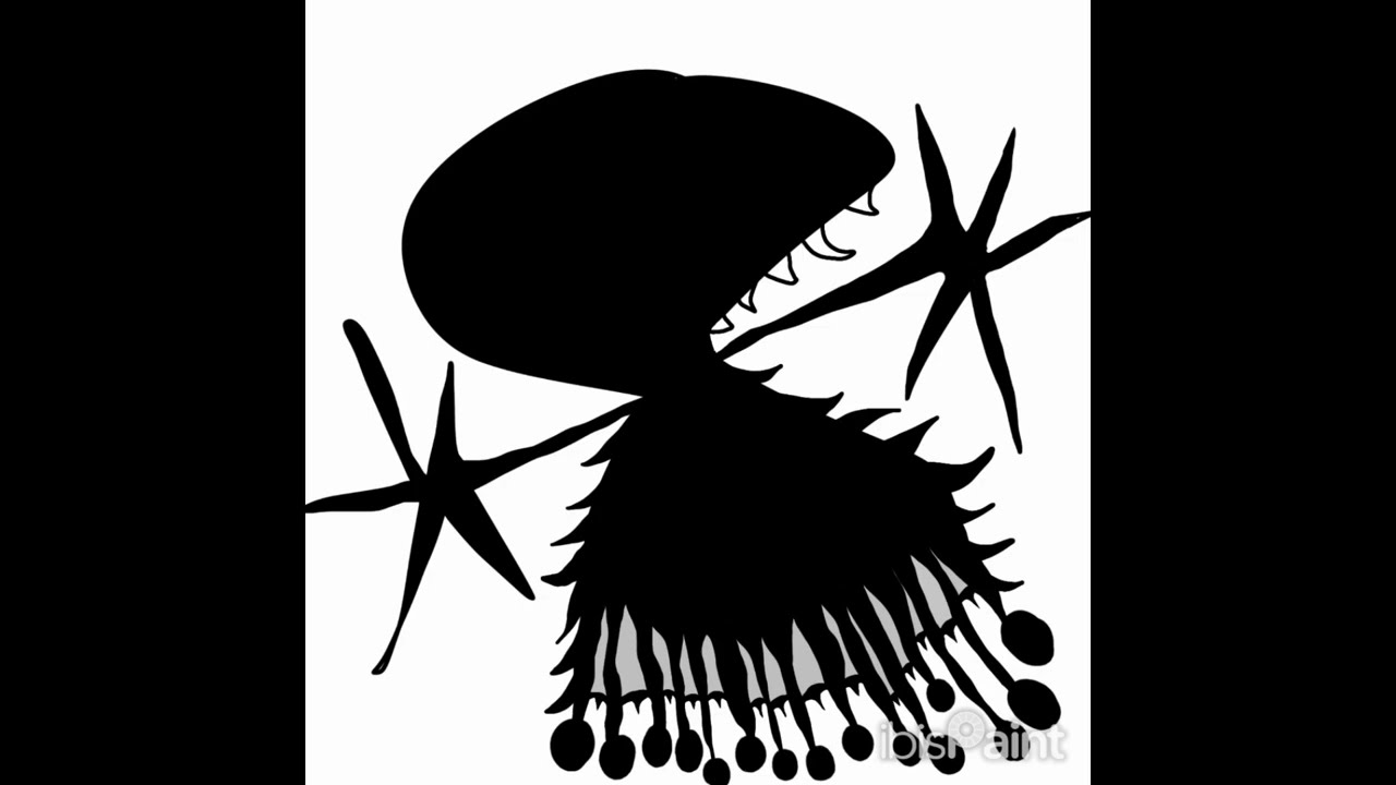Recordings of my Drawings: Optic Rot