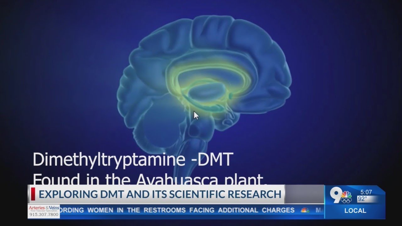 Special Report: Exploring DMT and its appeal to scientific research, particularly humans