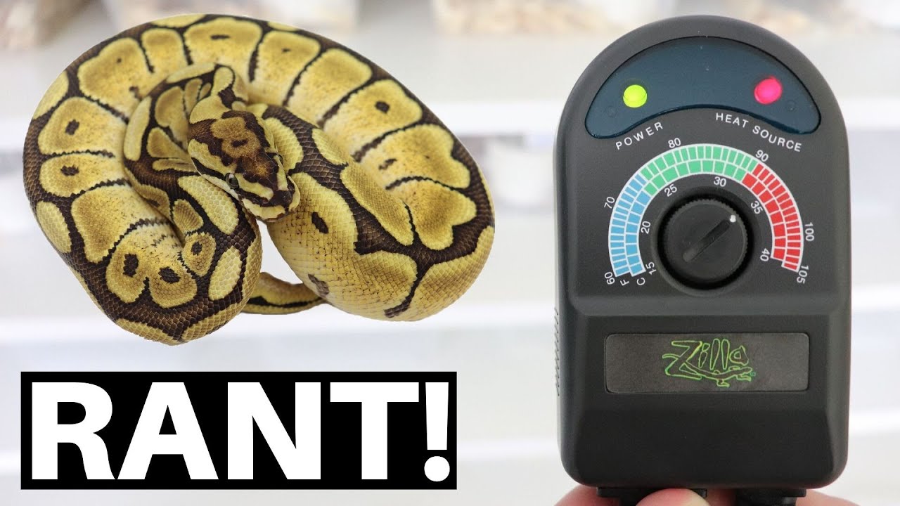 RANT: Problems With Cheap Reptile Thermostats - Benjamin's Exotics