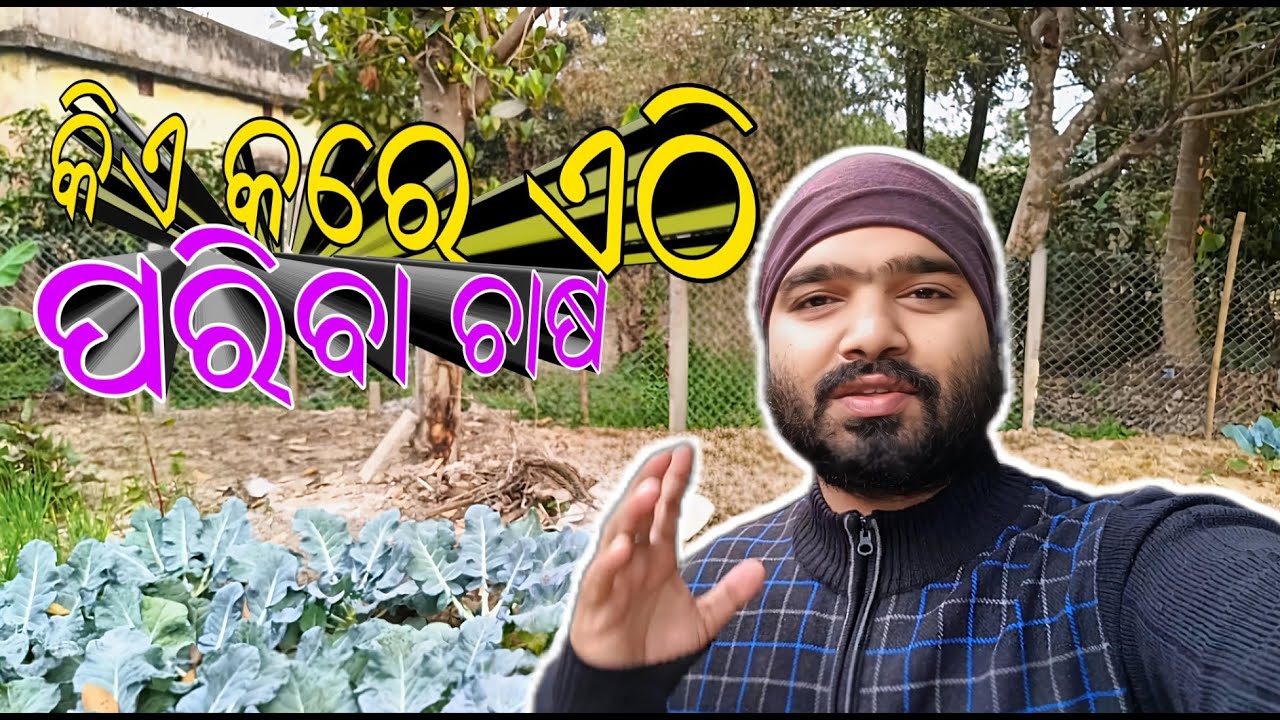 କିଏ କରେ ଏଠି ପରିବା ଚାଷ || your's hati bhai || sakhale gali pariba chasa ra video baneiba pain ||