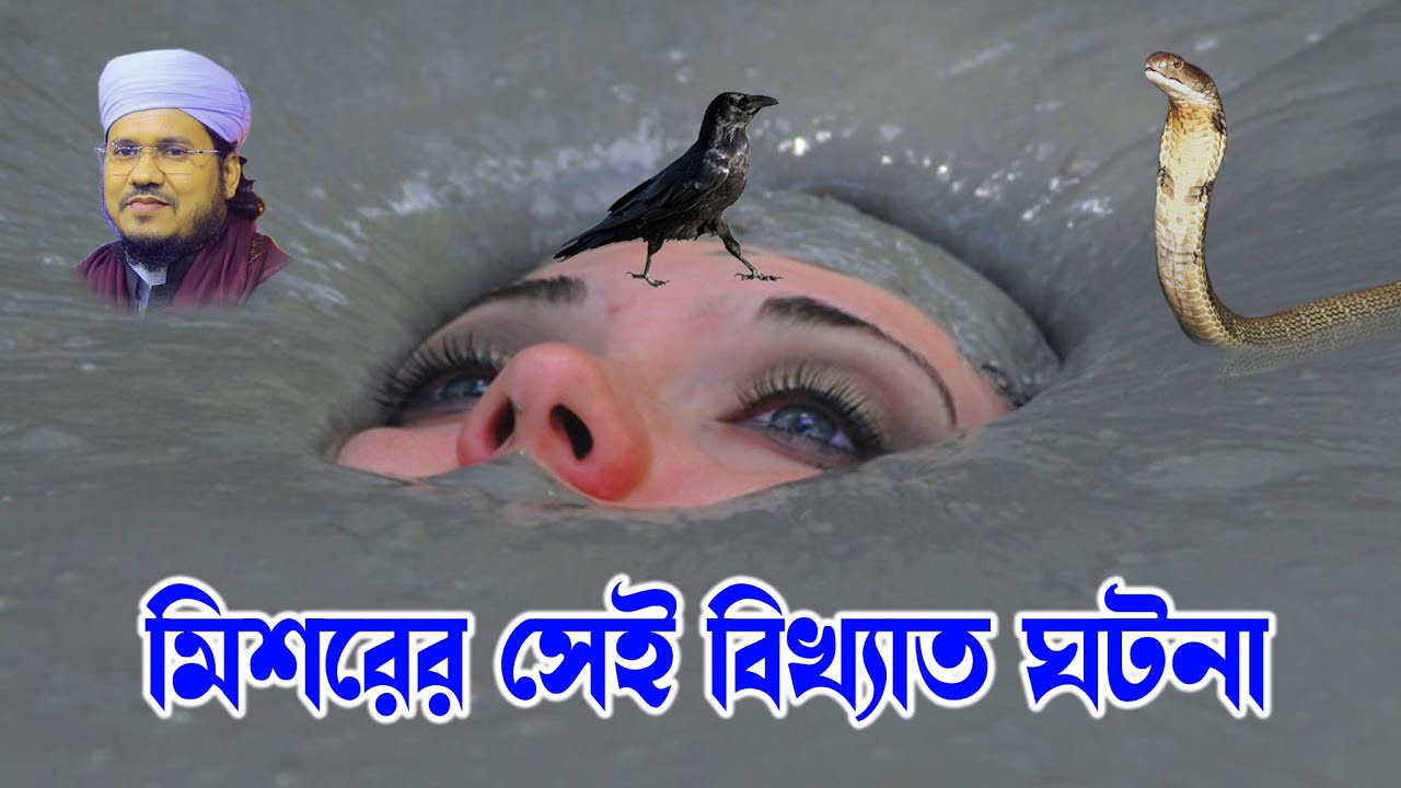 Mozammel Haque Sayed | মোজাম্মেল হক সাঈদ | bd waz |  Sayed Waz-মিশরের বিখ্যাত ঘটনা