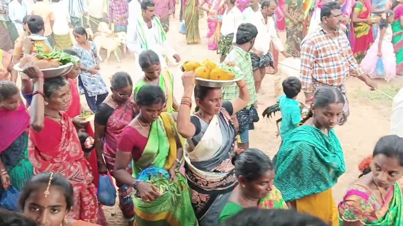 కొత్త గొల్ల పాలెం పోలేరమ్మ కొలుపు 2024