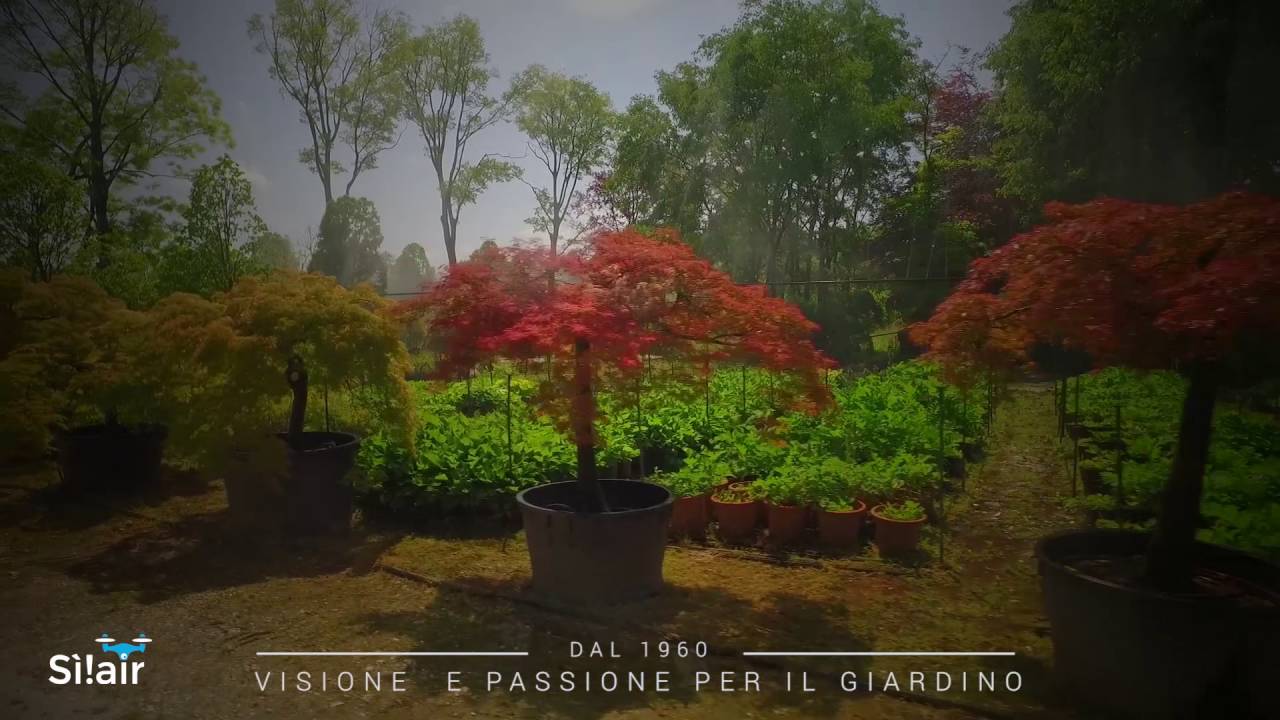 AZIENDA FLOROVIVAISTICA BEARESI-Monticelli D'ongina