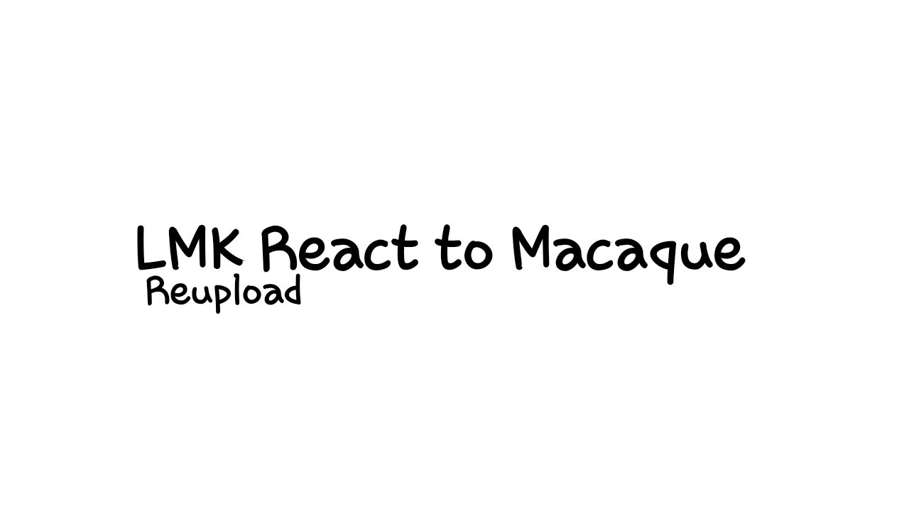 Lmk react to... | Macaque
