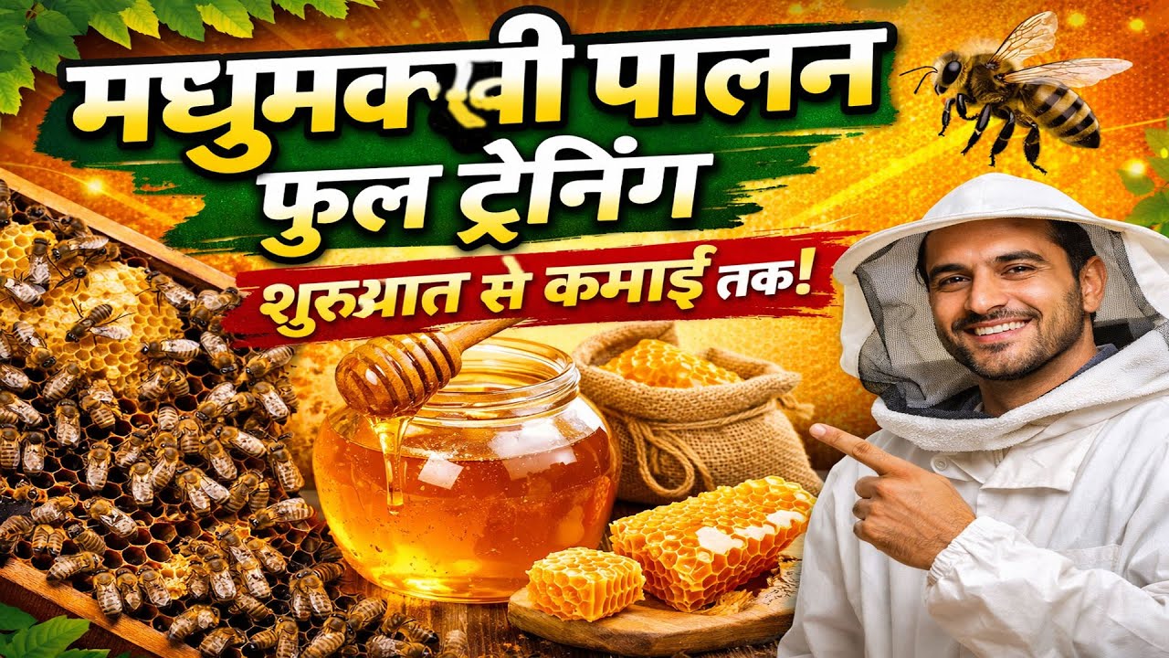 मधुमक्खी पालन फुल ट्रेनिंग | Beekeeping Training in Hindi | Honey Bee Farming Complete Guide