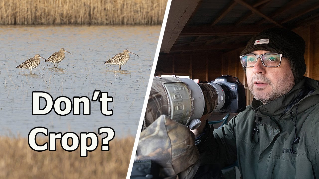 The Reality of Nature Reserves in the UK - When the Birds are Too Far Away!