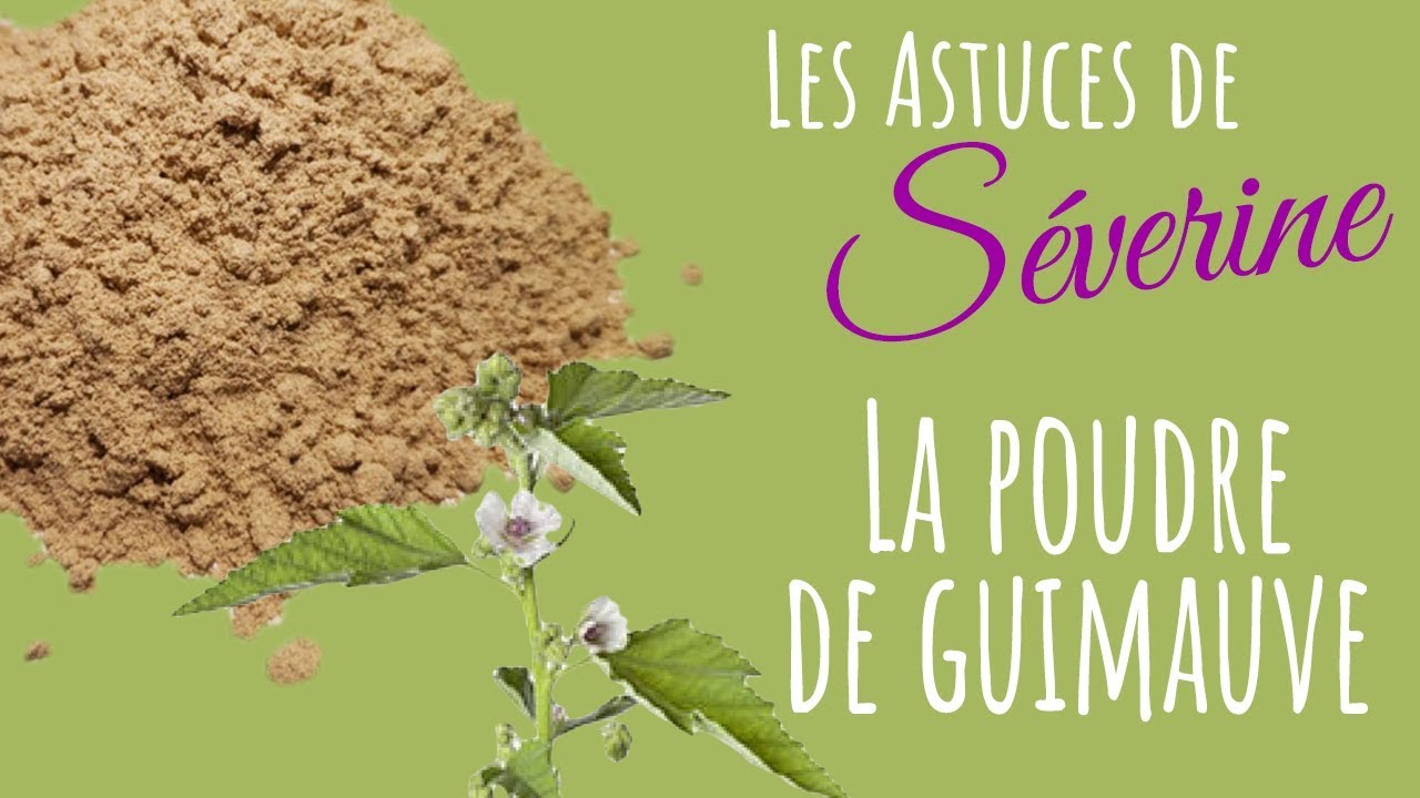 La poudre de guimauve : propriétés et utilisations