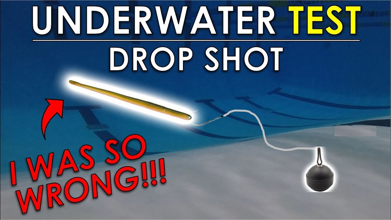 Drop Shot Length, Weight, and Bait Testing | Underwater Bass Fishing Rig Test