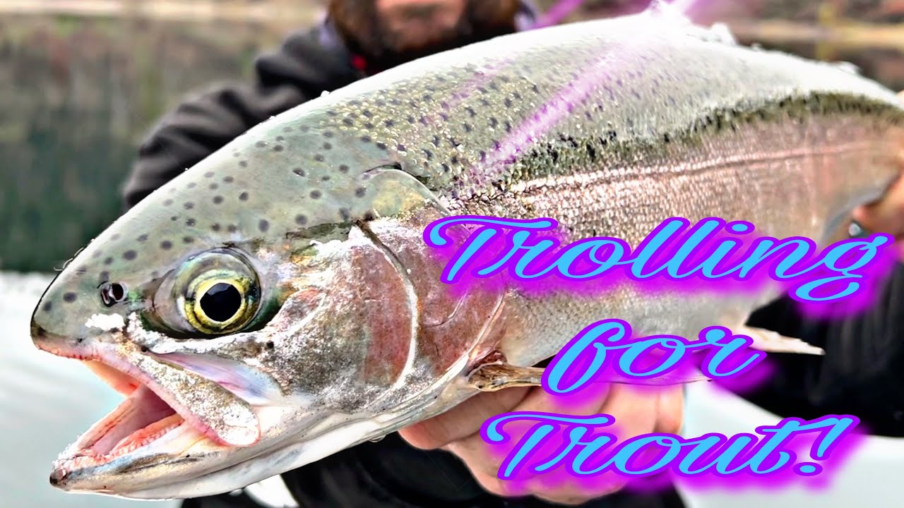 Trolling/long lining for winter trout on Lake Roosevelt.