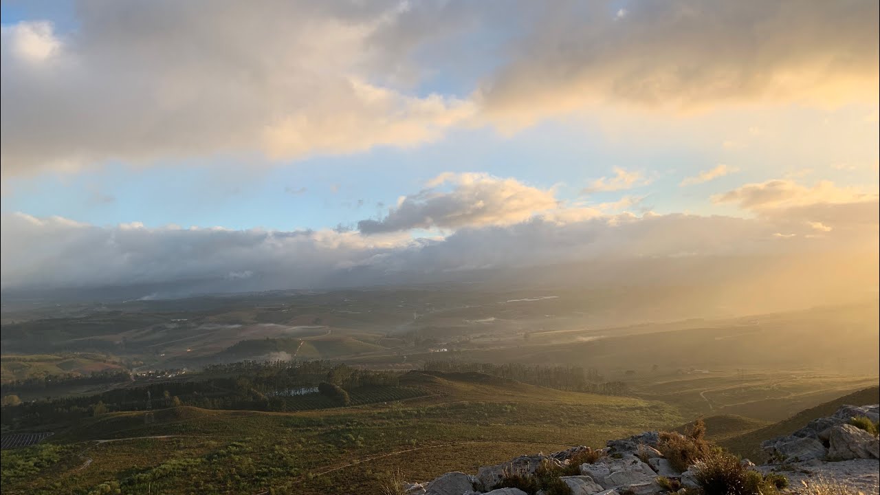 Elgin Vintners