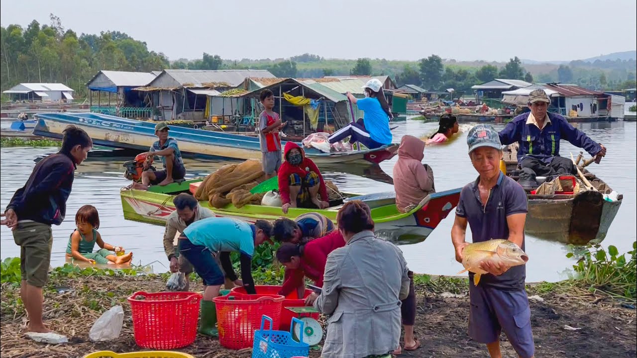 Bến Cá La Ngà HỒ TRỊ AN Đầu Hè║Chặt Lục Bình Bán Chỉ 900 Đồng 1kg