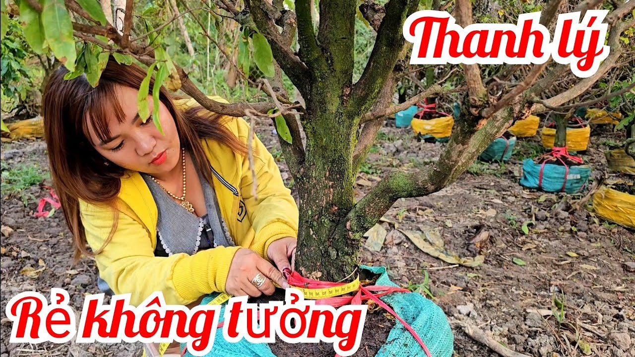 Kim Tuyền 📲 O786565755 Hoành to giá siêu nhỏ mai giảo Thủ Đức 14/3 (@MaivàngQuêdừa)