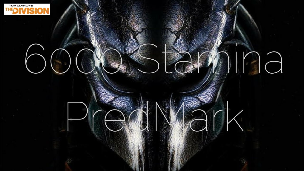 The Division 6000 Stamina PredMark (My Thoughts on Predators Mark Classified Gear set)!