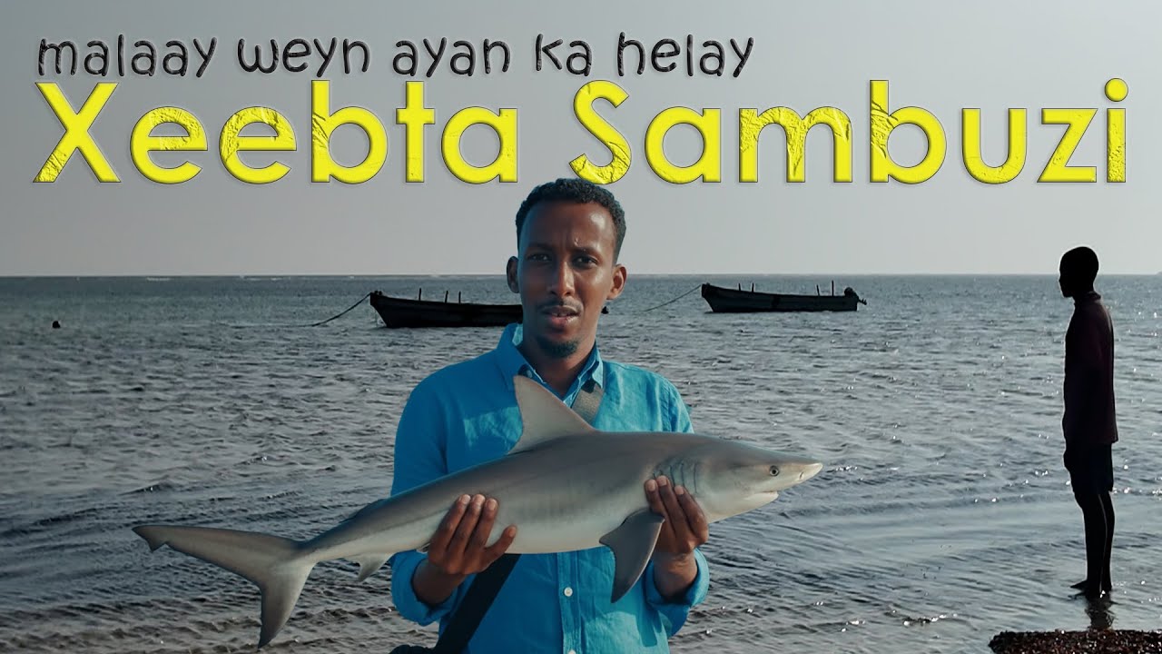 Malaay Weyn ayaan ka helay xeebta sambuuzi || Deeganka Ceel Jaale