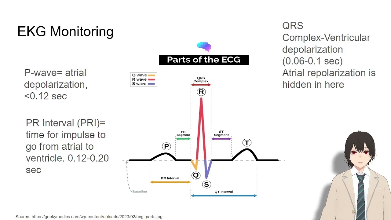 EKG Interpretation for Beginners | 4.0 GPA New Grad RN Explains | Subscriber Requested