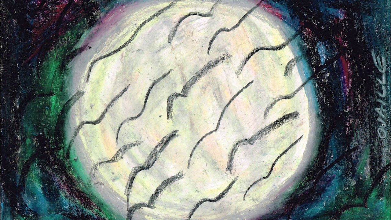 Yoga nidra - praca z cieniem - oswajenie lęku - głęboka relaksacja - walka z depresją