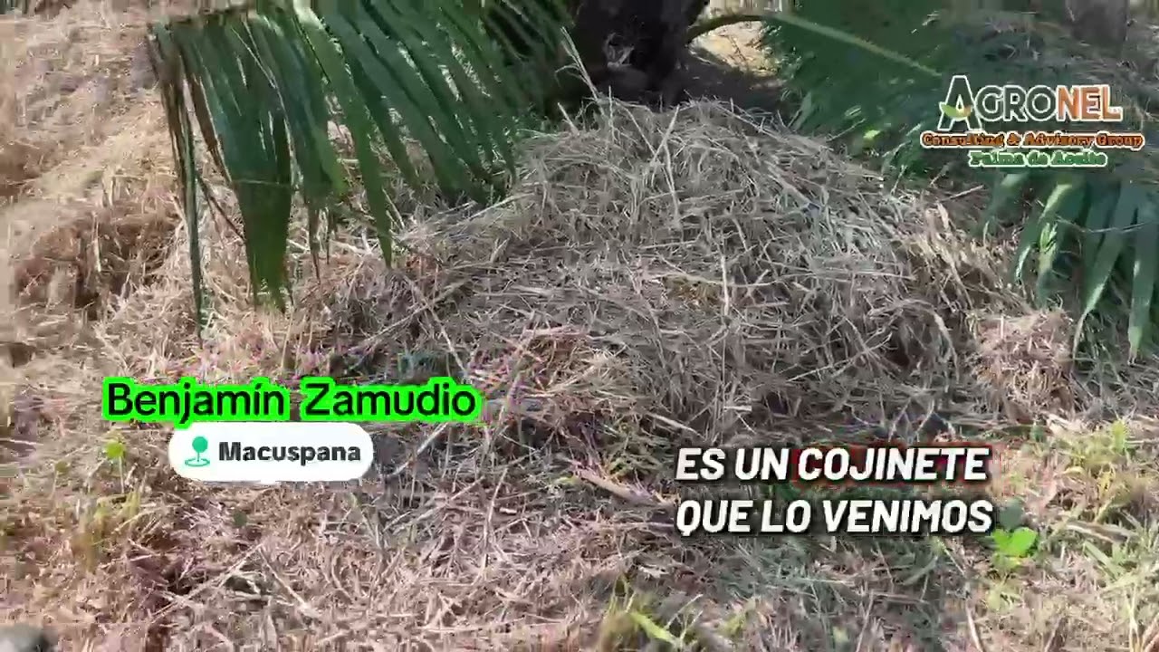 21 de febrero de 2026