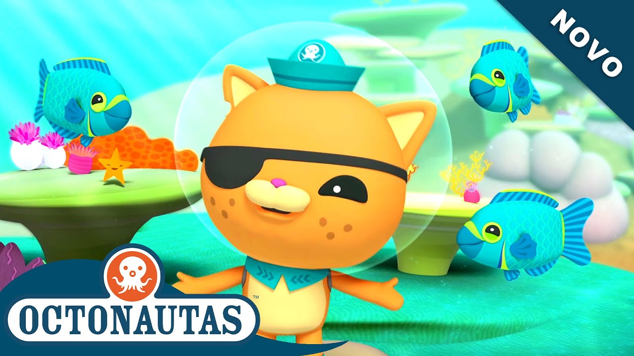 Octonautas - O peixe-papagaio pirata | Epis&oacute;dio inteiro 46 | Primeira Temporada