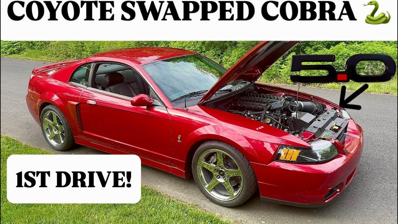 Crazy 1st Drive! Coyote Swapped 04' COBRA! *Trendy or Tragic?