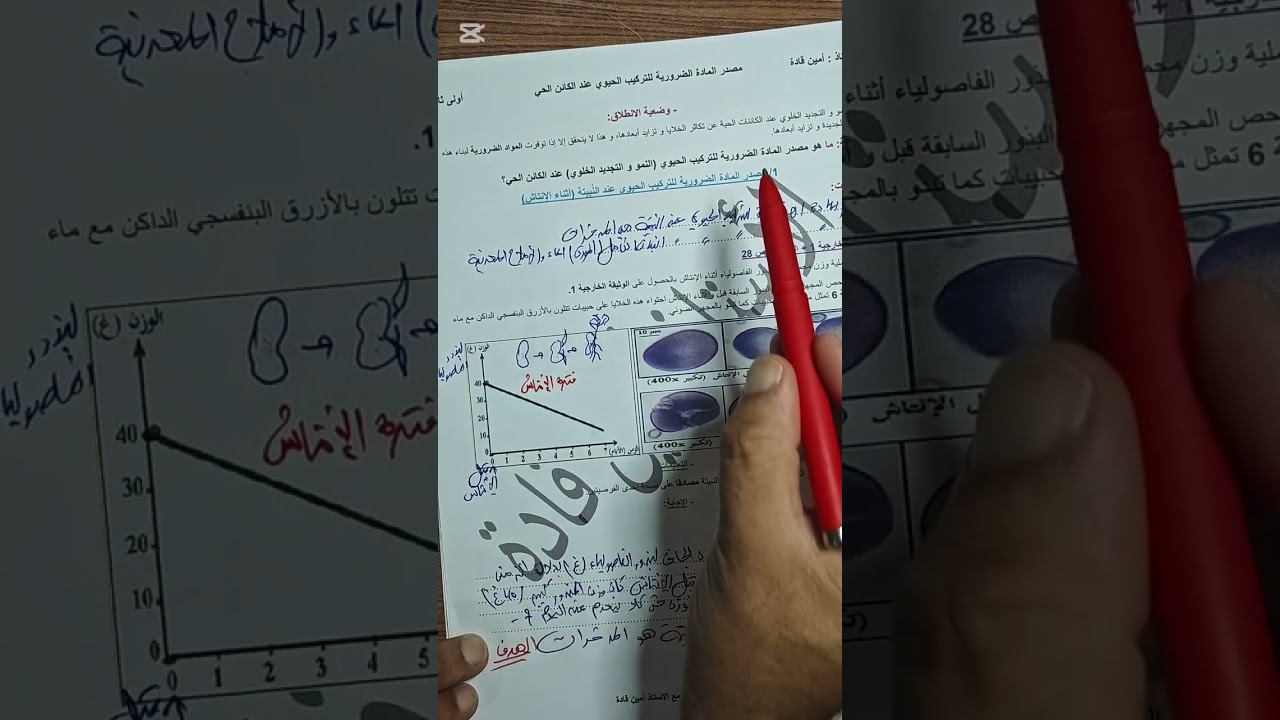 أولى ثانوي : مصدر المادة الضرورية للتركيب الحيوي عند النبيتة