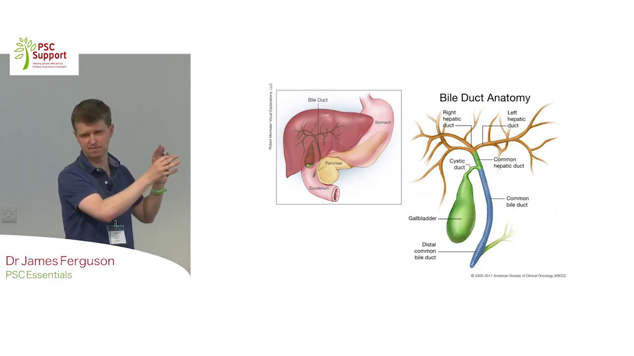 Dr James Ferguson: PSC Essentials (PSC Support)