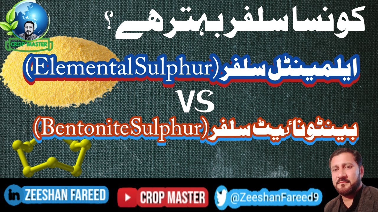Best Elemental Sulphur(Konsa Sulfer sab say acha hay?)