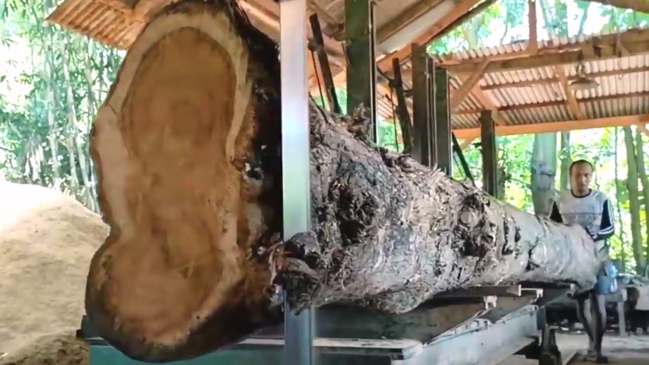 The process of processing beautiful monster teak wood 