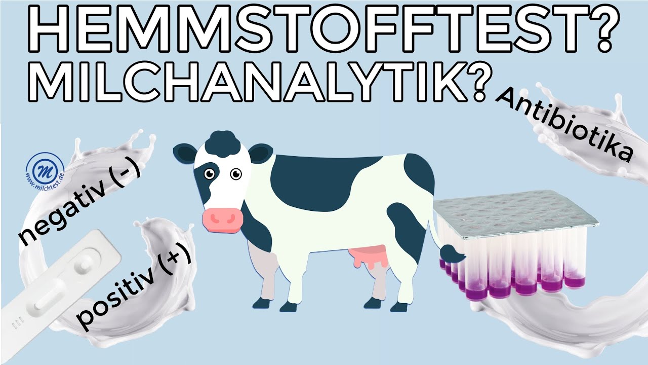 Packhaus Rockmann - Milchanalytik & Hemmstofftest