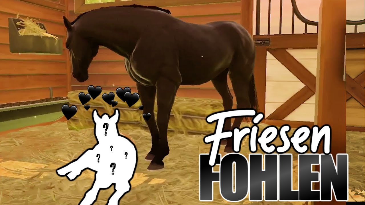 wir züchten das 🅴🆁🆂🆃🅴 FRIESEN FOHLEN 🐴🖤 Rival Stars Horse Racing