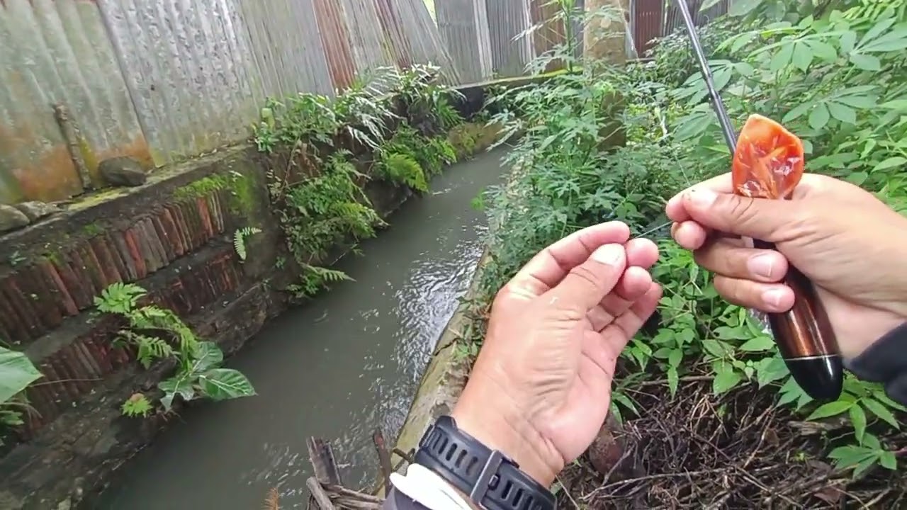 mancing di selokan tersembunyi ternyata penghuninya babon babon #WH09