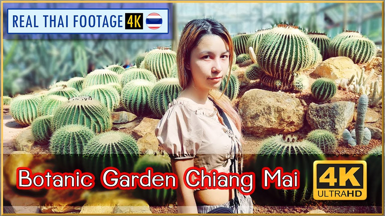 Glasshouse Complex at Queen Sirikit Botanic Garden Chiang Mai | REAL THAI FOOTAGE 4K