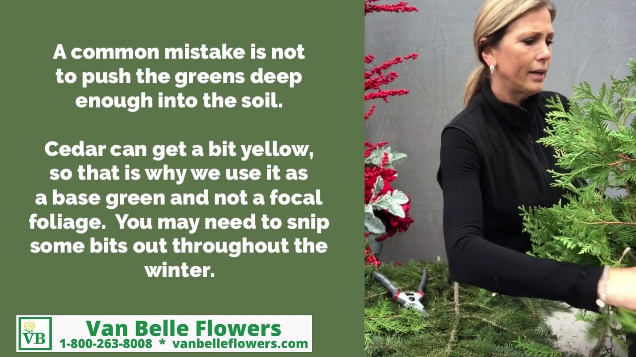 How to Create a Winter Outdoor Porch Pot   Van Belle Flowers 2020