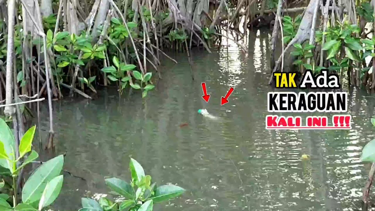 spot muara bakau engga di ragukan lagi sambaran pun terjadi berkali kali