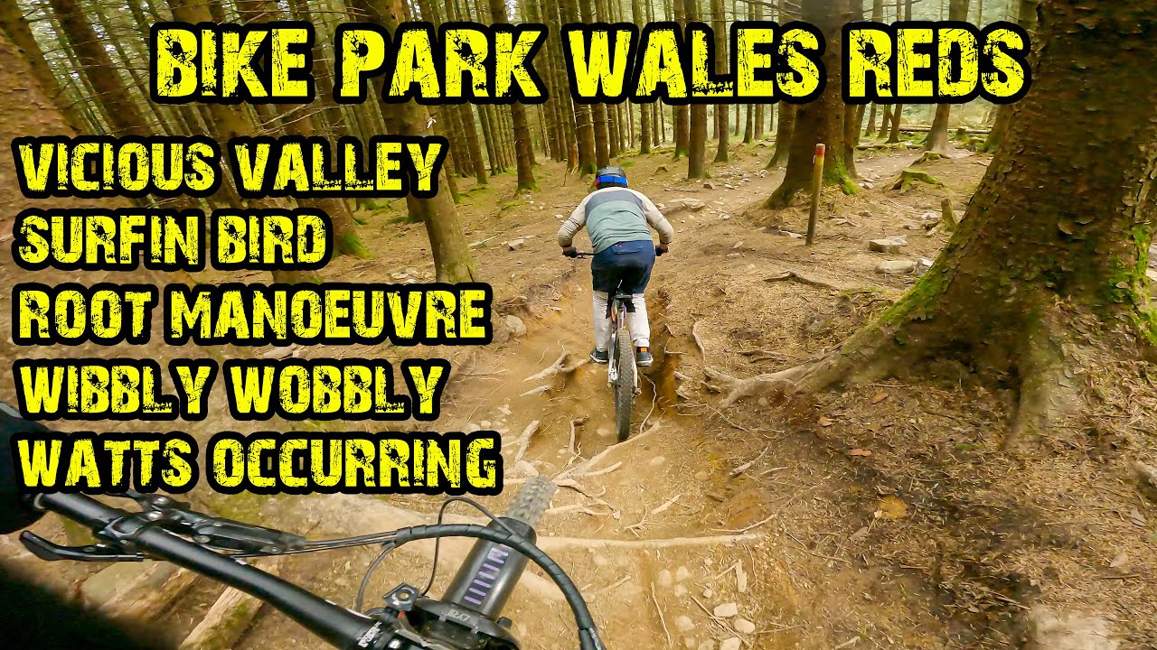 EPIC Reds At Bike Park Wales - Fanatics Rideout!!