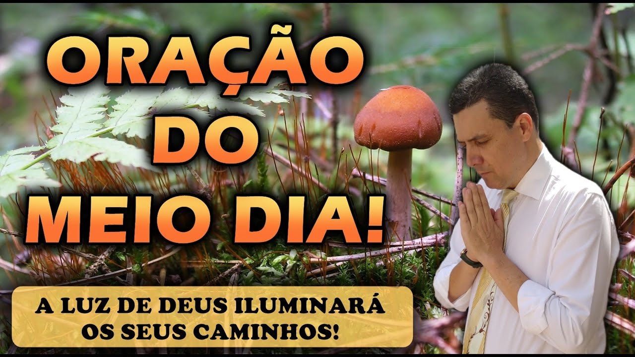 🔴 ORAÇÃO DO MEIO DIA DE HOJE A LUZ DE DEUS ILUMINARÁ OS SEUS CAMINHOS!