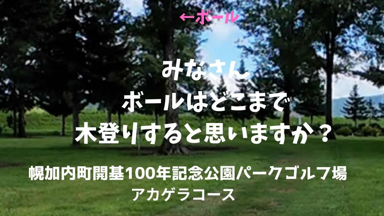 幌加内町開基100年記念公園パークゴルフ場その2アカゲラコース