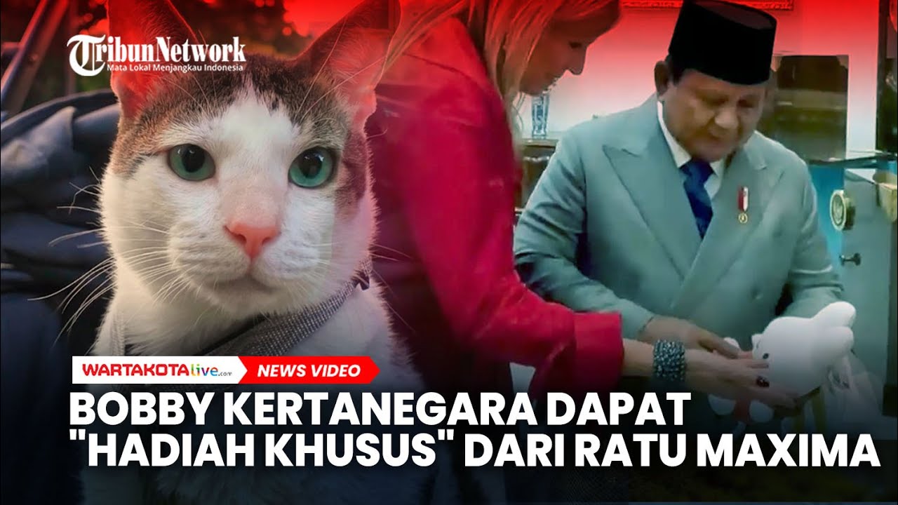 Saat Bobby Kertanegara Dapat  “Hadiah Khusus” dari Ratu Máxima